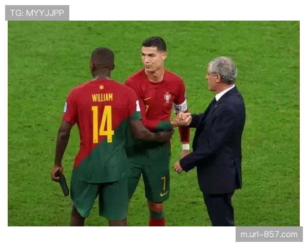 葡萄牙维加头球破门，球队大胜锁定小组第一